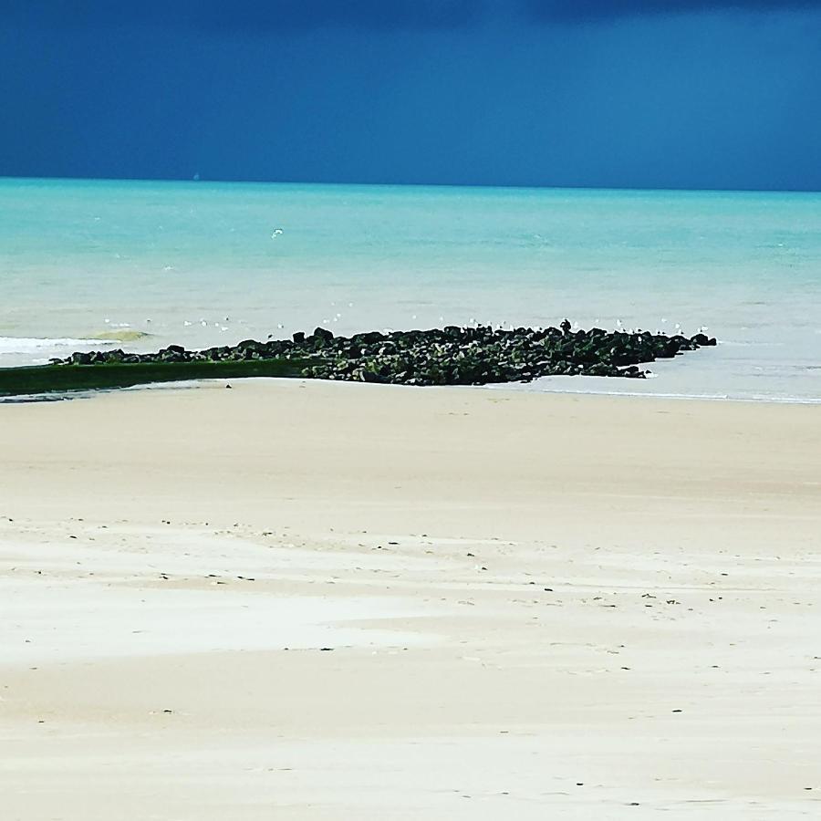 דירות מידלקרק Fleuri Westende מראה חיצוני תמונה